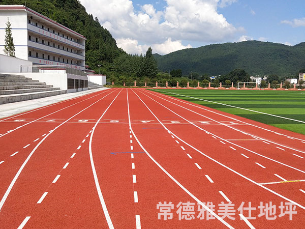 銅仁中學(xué)塑膠跑道、草坪